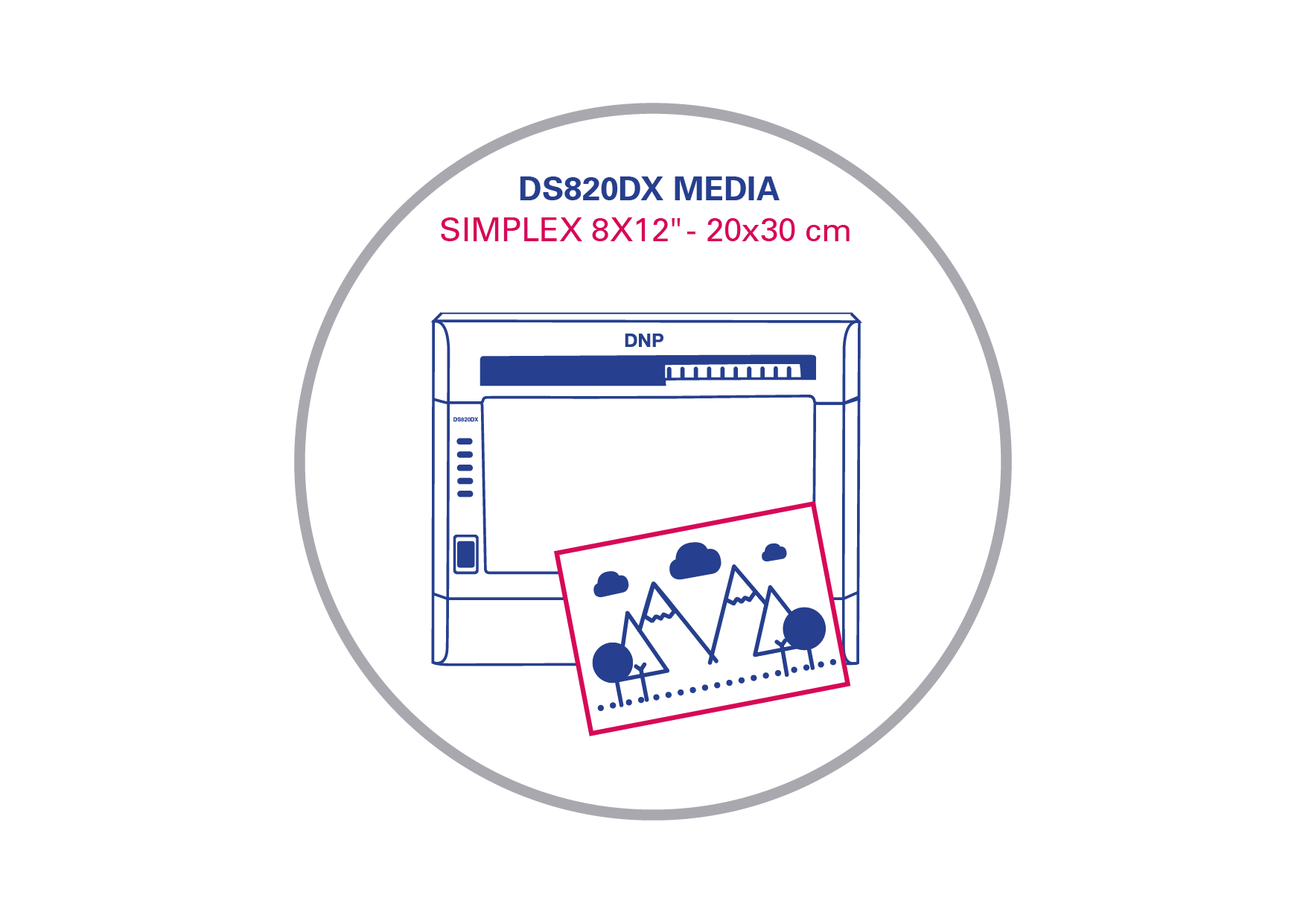 DS820DX Simplex 20x30 (8x12)